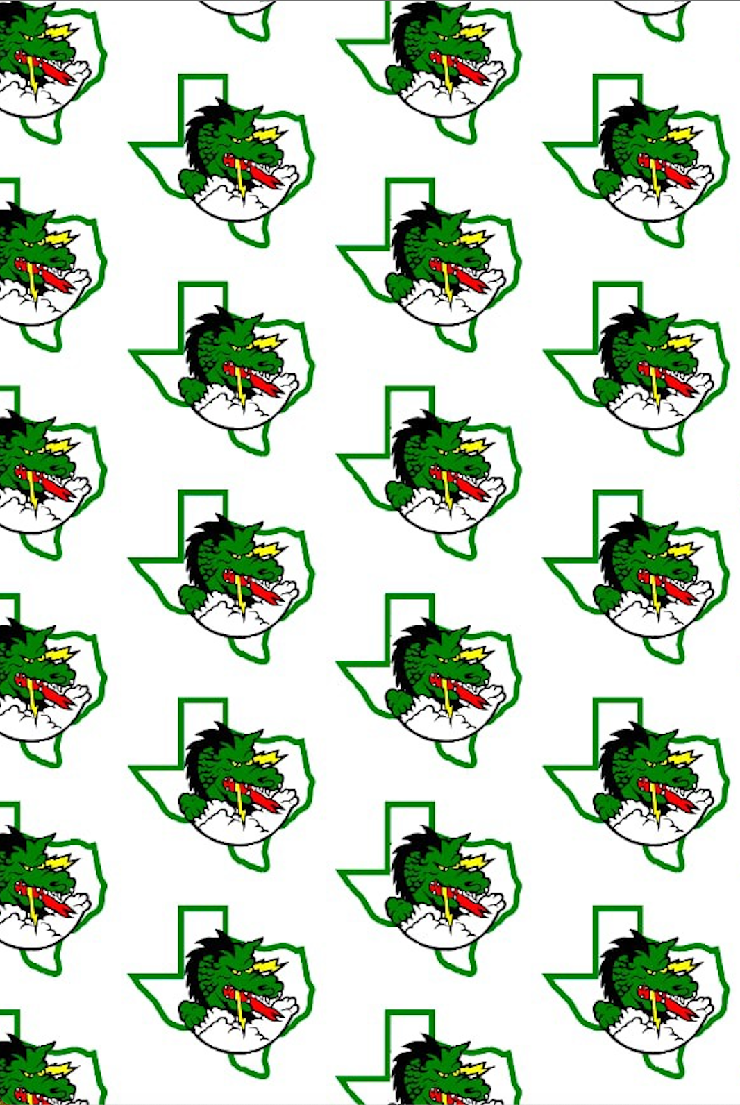 SouthLake Carroll Dragons - Black Short Sleeve Hoodie - Pattern Hood - PRE ORDER