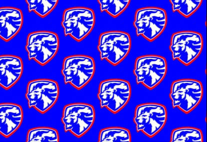 Moore Lions Hoodie - Pattern - Blue