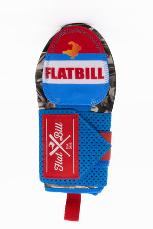 Descriptive image text