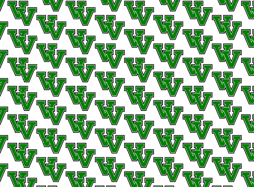 Valley View Eagles - Polo - Pattern