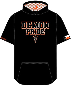 Descriptive image text