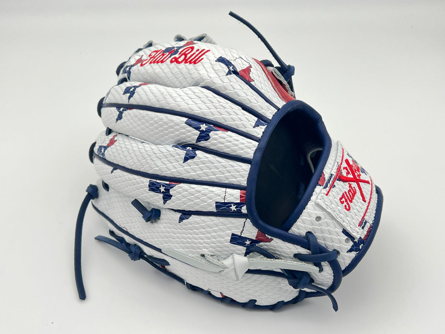 Texas Series 1 Collection Baseball Glove