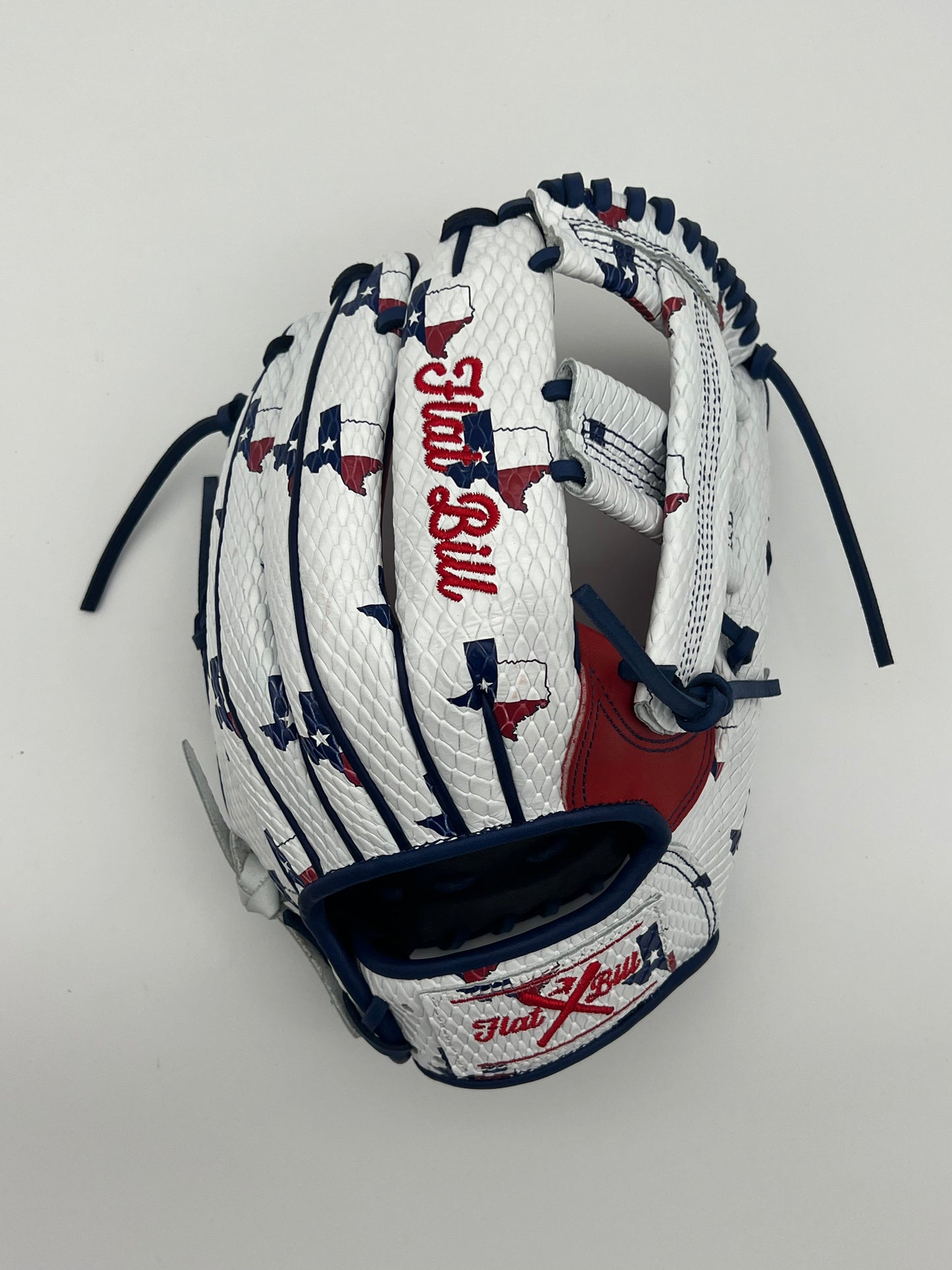 Texas Series 1 Collection Baseball Glove